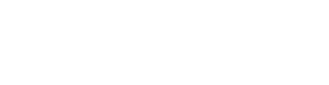 Custom Softwares